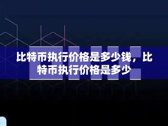 比特币执行价格是多少钱，比特币执行价格是多少