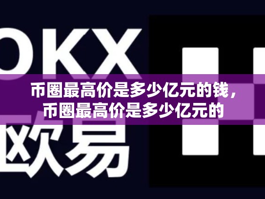 币圈最高价是多少亿元的钱，币圈最高价是多少亿元的