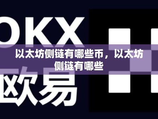 以太坊侧链有哪些币，以太坊侧链有哪些
