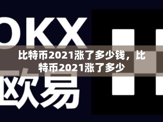 比特币2021涨了多少钱，比特币2021涨了多少