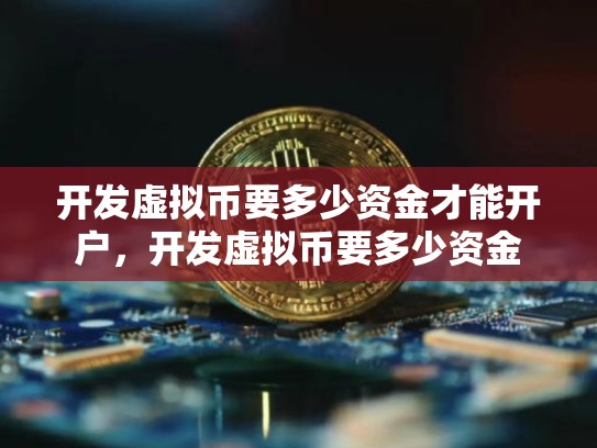 开发虚拟币要多少资金才能开户，开发虚拟币要多少资金
