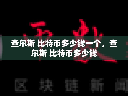 查尔斯 比特币多少钱一个，查尔斯 比特币多少钱