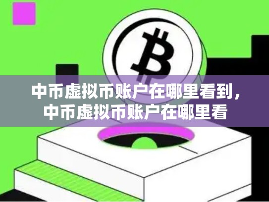 中币虚拟币账户在哪里看到，中币虚拟币账户在哪里看