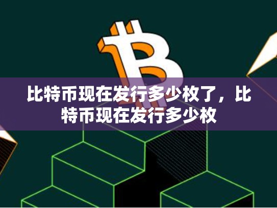 比特币现在发行多少枚了，比特币现在发行多少枚