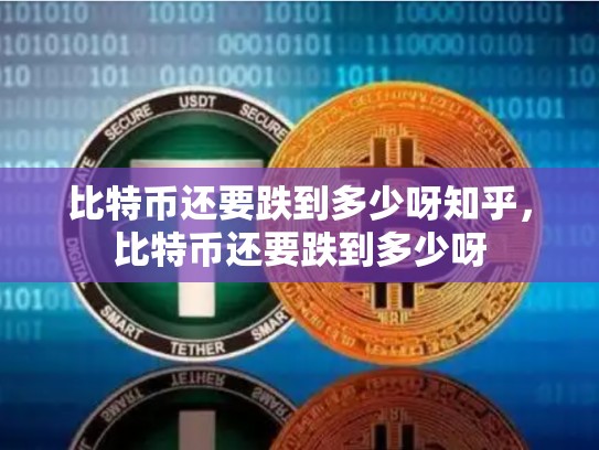 比特币还要跌到多少呀知乎，比特币还要跌到多少呀