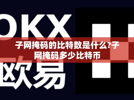 子网掩码的比特数是什么?子网掩码多少比特币