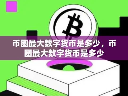币圈最大数字货币是多少，币圈最大数字货币是多少