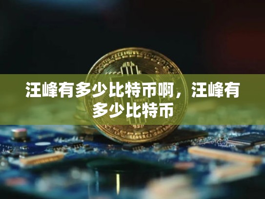 汪峰有多少比特币啊，汪峰有多少比特币