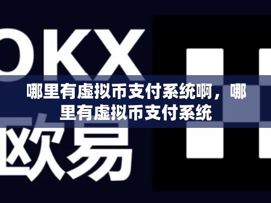 哪里有虚拟币支付系统啊，哪里有虚拟币支付系统