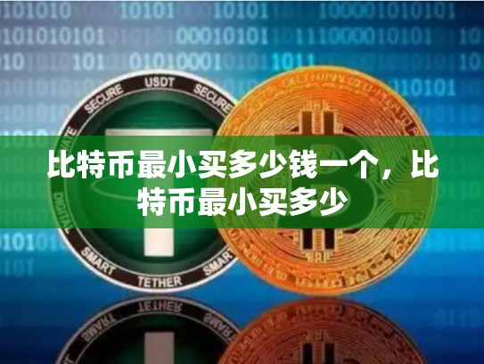 比特币最小买多少钱一个，比特币最小买多少