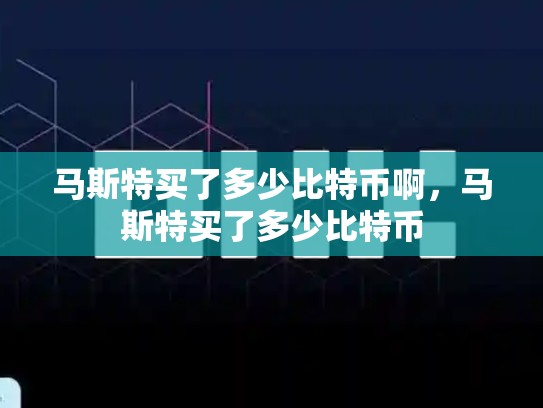 马斯特买了多少比特币啊，马斯特买了多少比特币