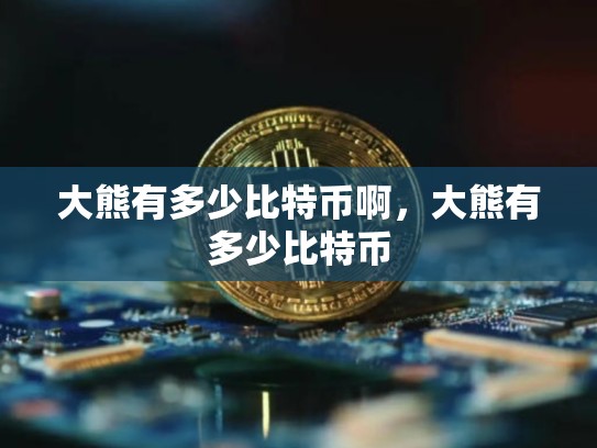 大熊有多少比特币啊，大熊有多少比特币
