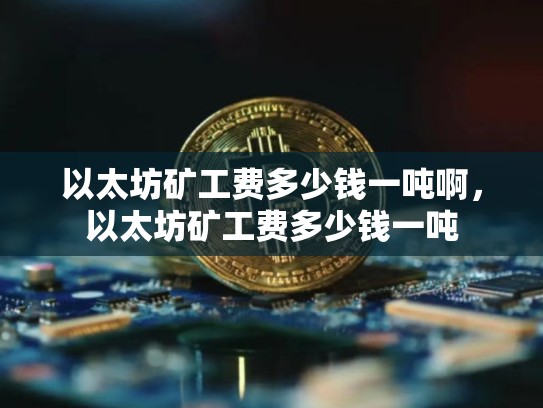 以太坊矿工费多少钱一吨啊，以太坊矿工费多少钱一吨
