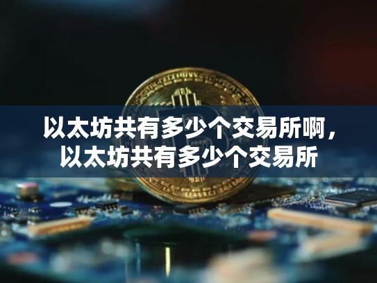 以太坊共有多少个交易所啊，以太坊共有多少个交易所-第1张图片-币数通