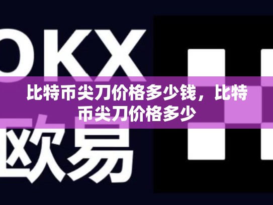 比特币尖刀价格多少钱，比特币尖刀价格多少