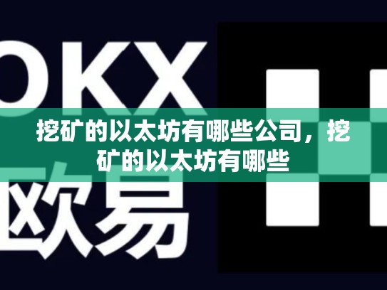 挖矿的以太坊有哪些公司，挖矿的以太坊有哪些