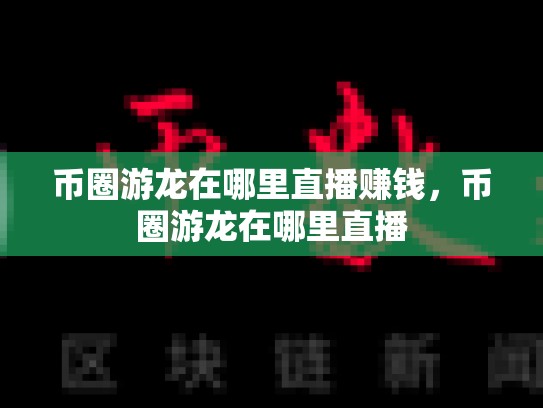 币圈游龙在哪里直播赚钱，币圈游龙在哪里直播