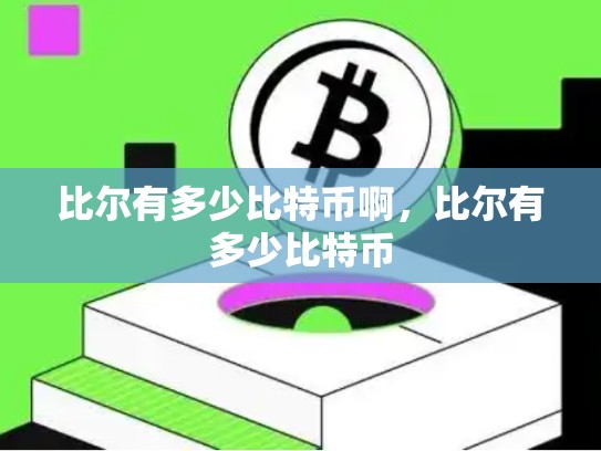 比尔有多少比特币啊，比尔有多少比特币