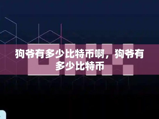 狗爷有多少比特币啊，狗爷有多少比特币