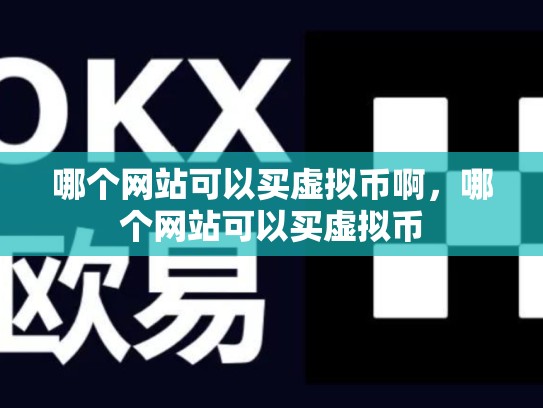 哪个网站可以买虚拟币啊，哪个网站可以买虚拟币