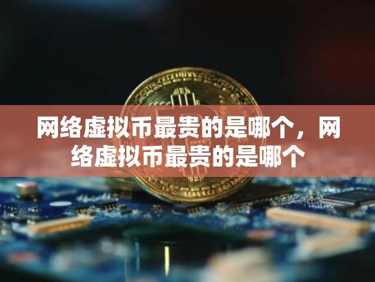 网络虚拟币最贵的是哪个，网络虚拟币最贵的是哪个