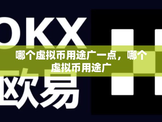 哪个虚拟币用途广一点，哪个虚拟币用途广