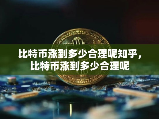 比特币涨到多少合理呢知乎，比特币涨到多少合理呢-第1张图片-币数通
