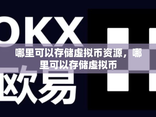 哪里可以存储虚拟币资源，哪里可以存储虚拟币