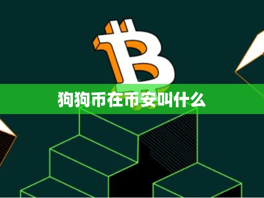 狗狗币在币安叫什么