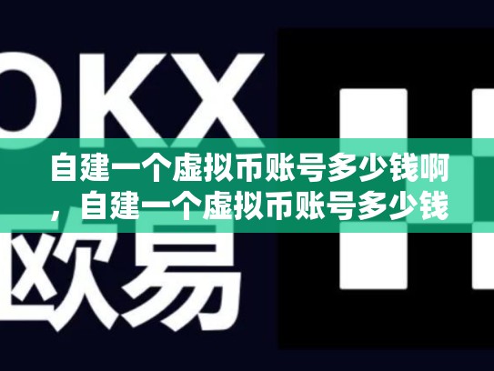 自建一个虚拟币账号多少钱啊，自建一个虚拟币账号多少钱