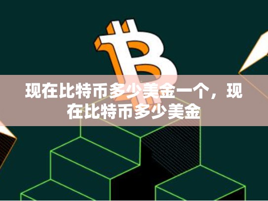 现在比特币多少美金一个，现在比特币多少美金