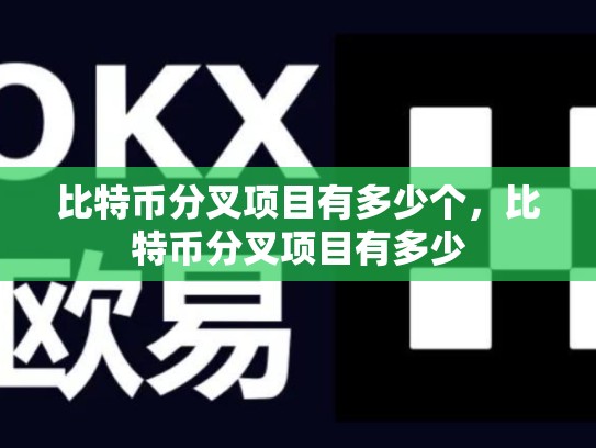 比特币分叉项目有多少个，比特币分叉项目有多少
