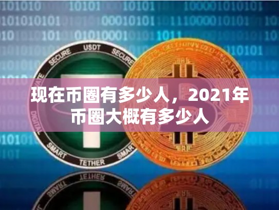 现在币圈有多少人，2021年币圈大概有多少人
