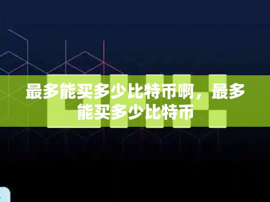 最多能买多少比特币啊，最多能买多少比特币