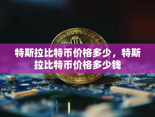 特斯拉比特币价格多少，特斯拉比特币价格多少钱