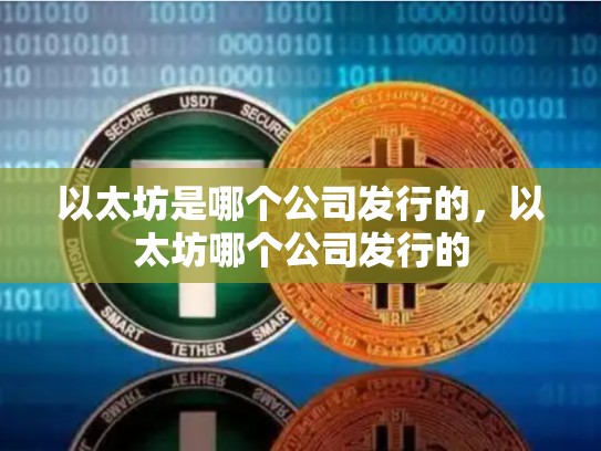 以太坊是哪个公司发行的，以太坊哪个公司发行的