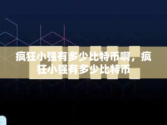 疯狂小强有多少比特币啊，疯狂小强有多少比特币