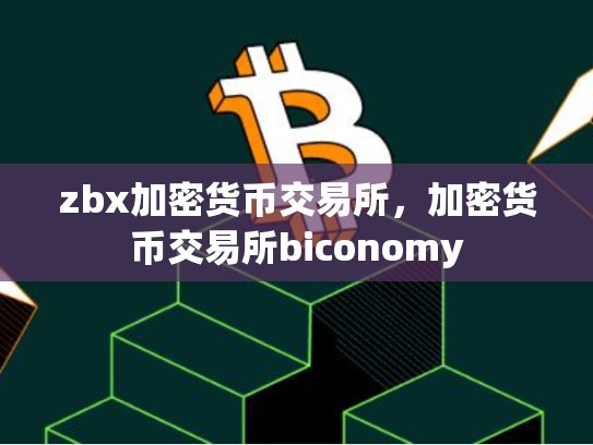 zbx加密货币交易所，加密货币交易所biconomy