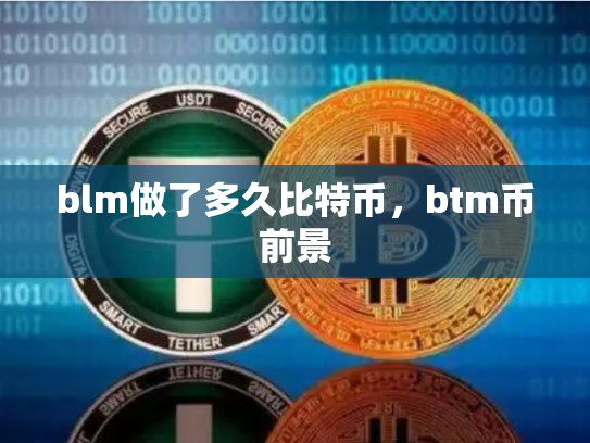blm做了多久比特币，btm币前景