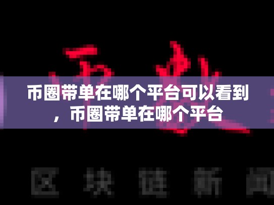 币圈带单在哪个平台可以看到，币圈带单在哪个平台