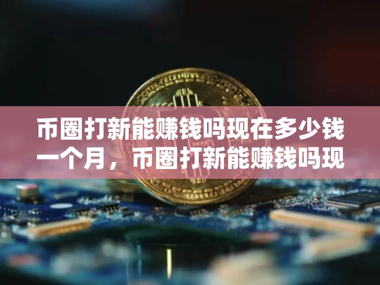 币圈打新能赚钱吗现在多少钱一个月，币圈打新能赚钱吗现在多少钱