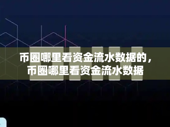 币圈哪里看资金流水数据的，币圈哪里看资金流水数据