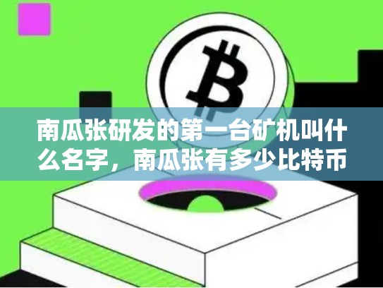 南瓜张研发的第一台矿机叫什么名字，南瓜张有多少比特币