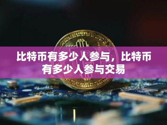 比特币有多少人参与，比特币有多少人参与交易-第1张图片-币数通