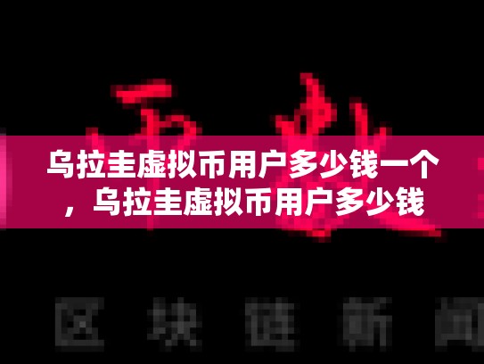 乌拉圭虚拟币用户多少钱一个，乌拉圭虚拟币用户多少钱