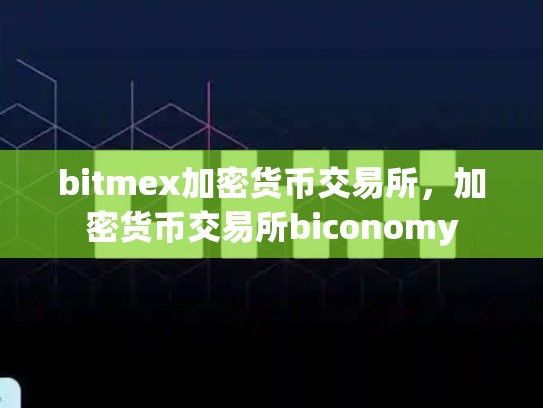 bitmex加密货币交易所，加密货币交易所biconomy-第1张图片-币数通