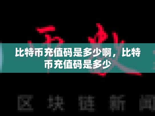 比特币充值码是多少啊，比特币充值码是多少