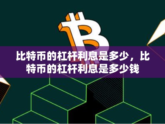 比特币的杠杆利息是多少，比特币的杠杆利息是多少钱