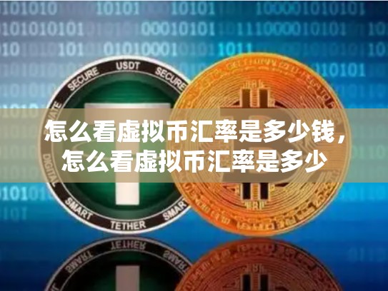 怎么看虚拟币汇率是多少钱，怎么看虚拟币汇率是多少