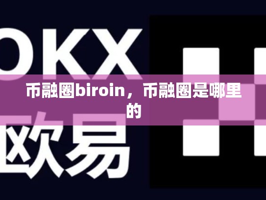 币融圈biroin，币融圈是哪里的